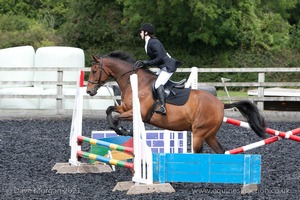 Class 3 -  Fences not above 2'3